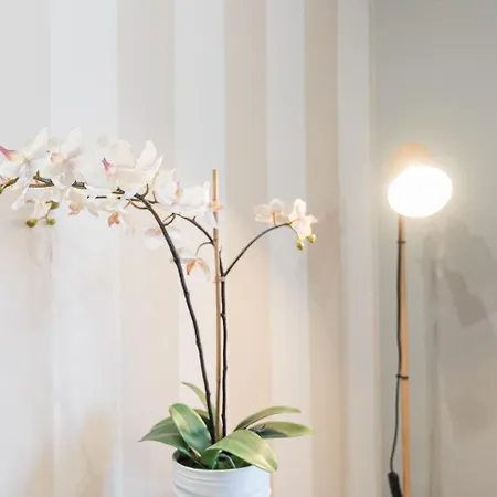 Guestready - Gaia Gardens Apartments * 加亚新城